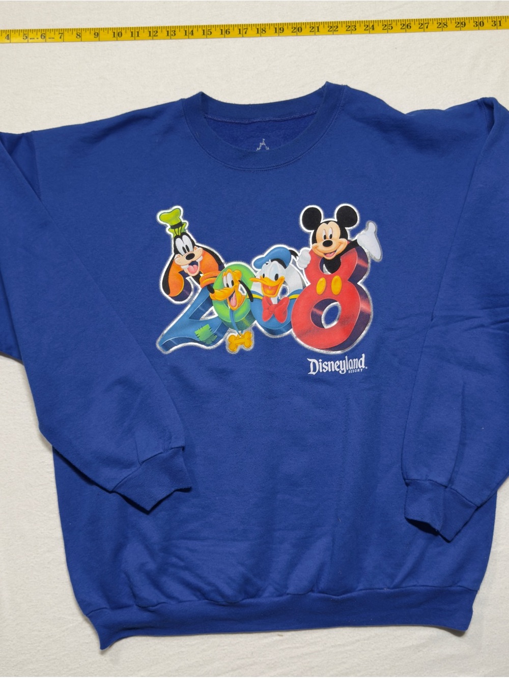 2008 Disney Blue Mickey & Friends Kids Sweatshirt